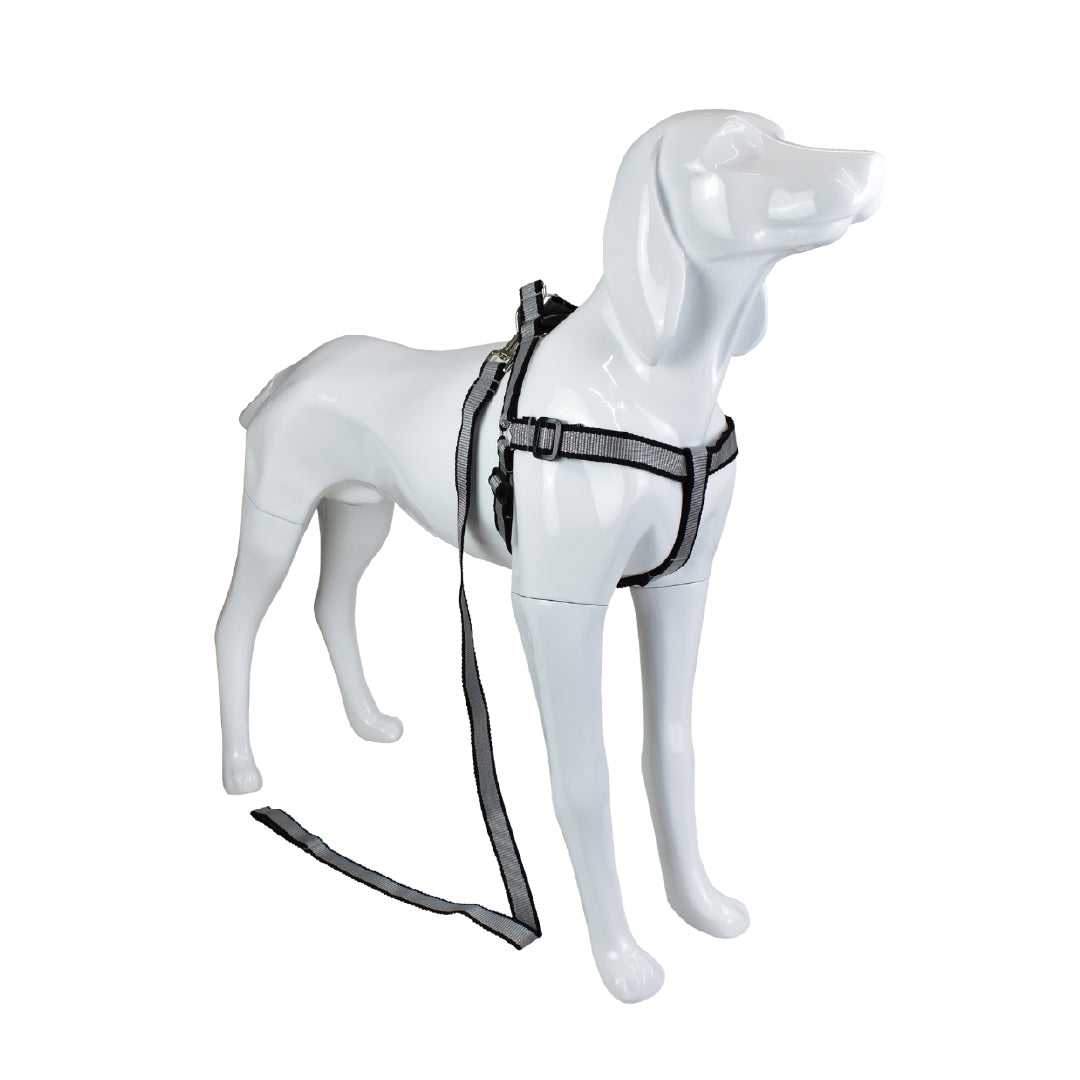 Arnés Con Correa Para Mascota Material Resistente Y Duradero
