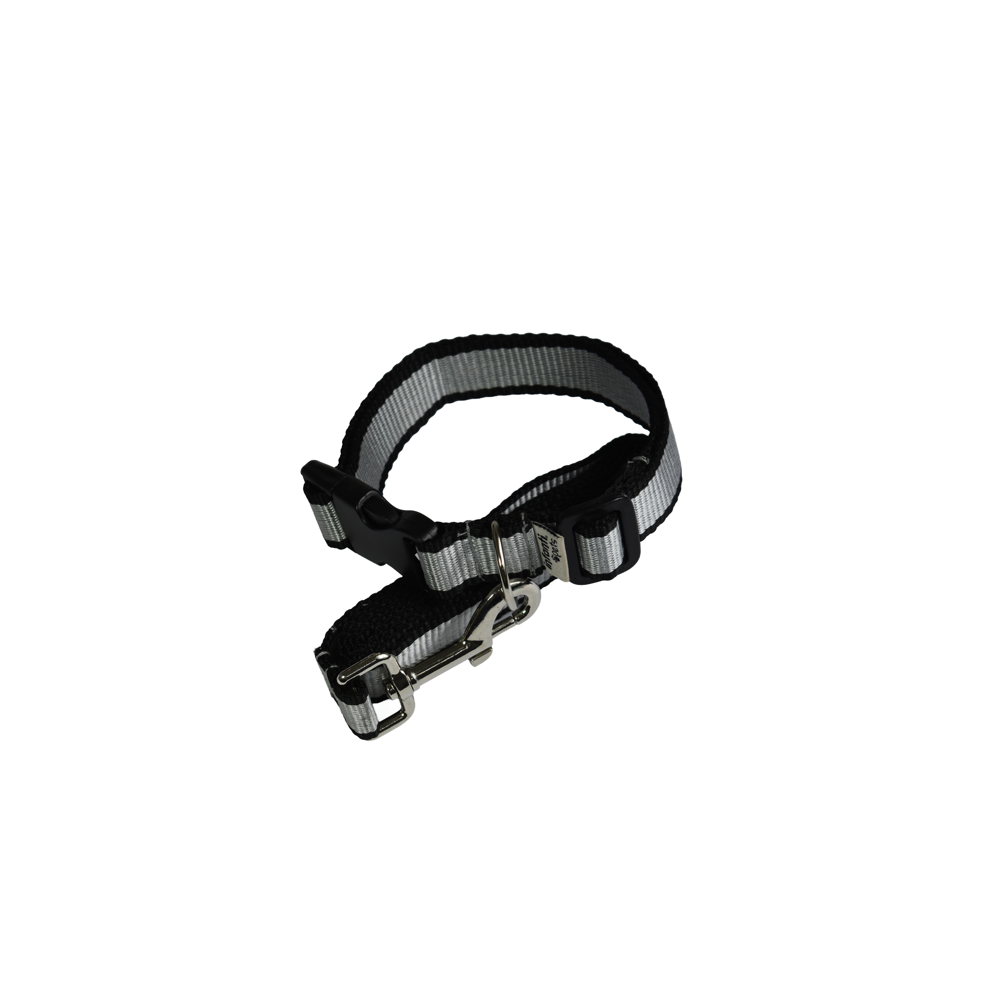 Juego De Correa Con Collar Ajustable Y Diseño Resistente