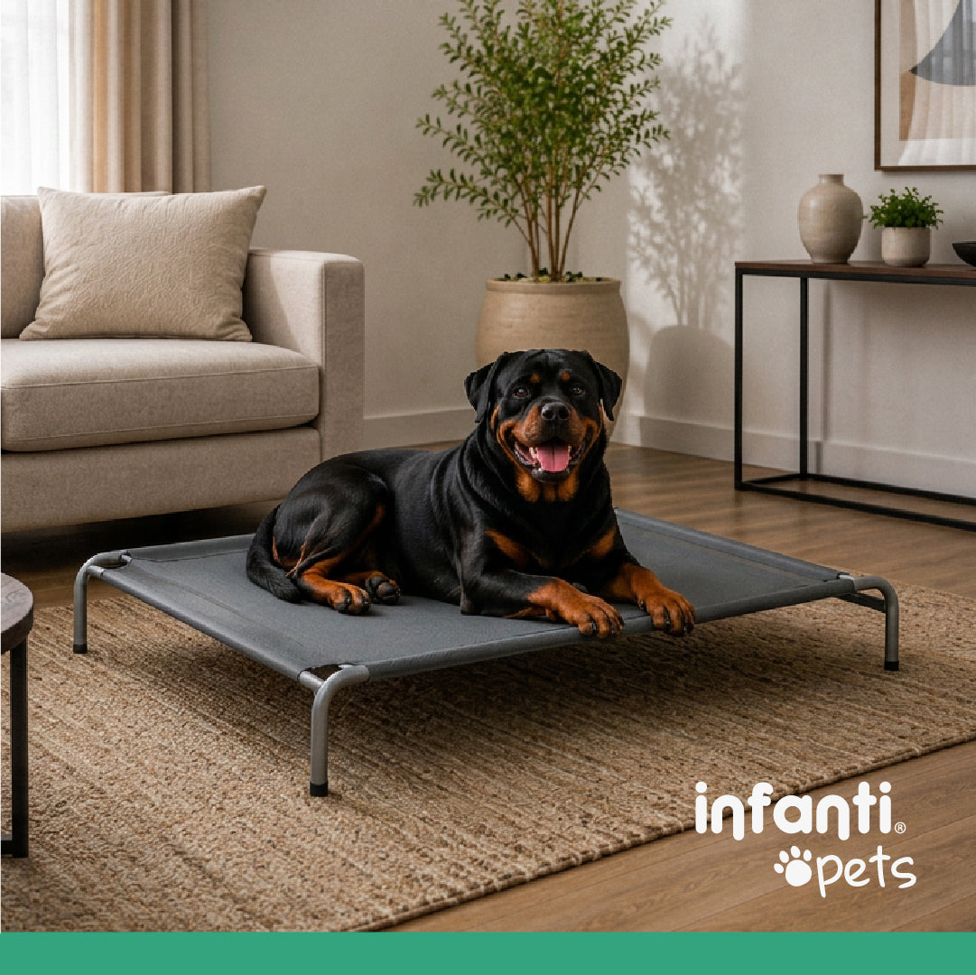 Cama Elevada De Perro Con Diseño Práctico Antiestrés