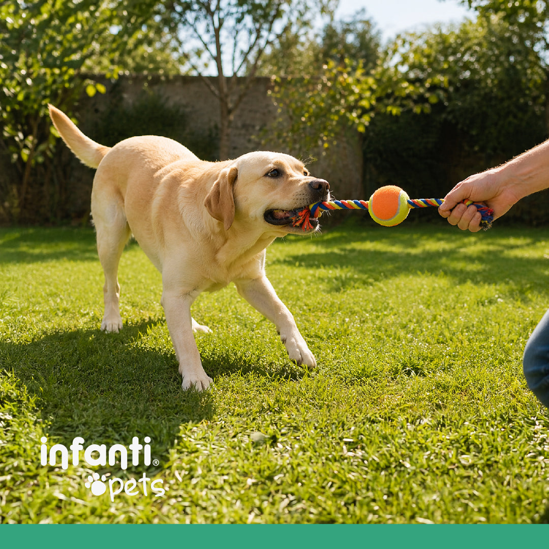 Juguete Para Perros Jaladera De Cuerda Con Pelota Trenzada