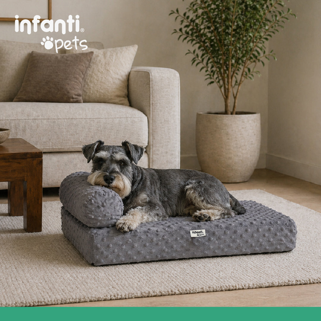 Cama Ortopedica Gris Para Mascotas Antideslizante Con Cierre