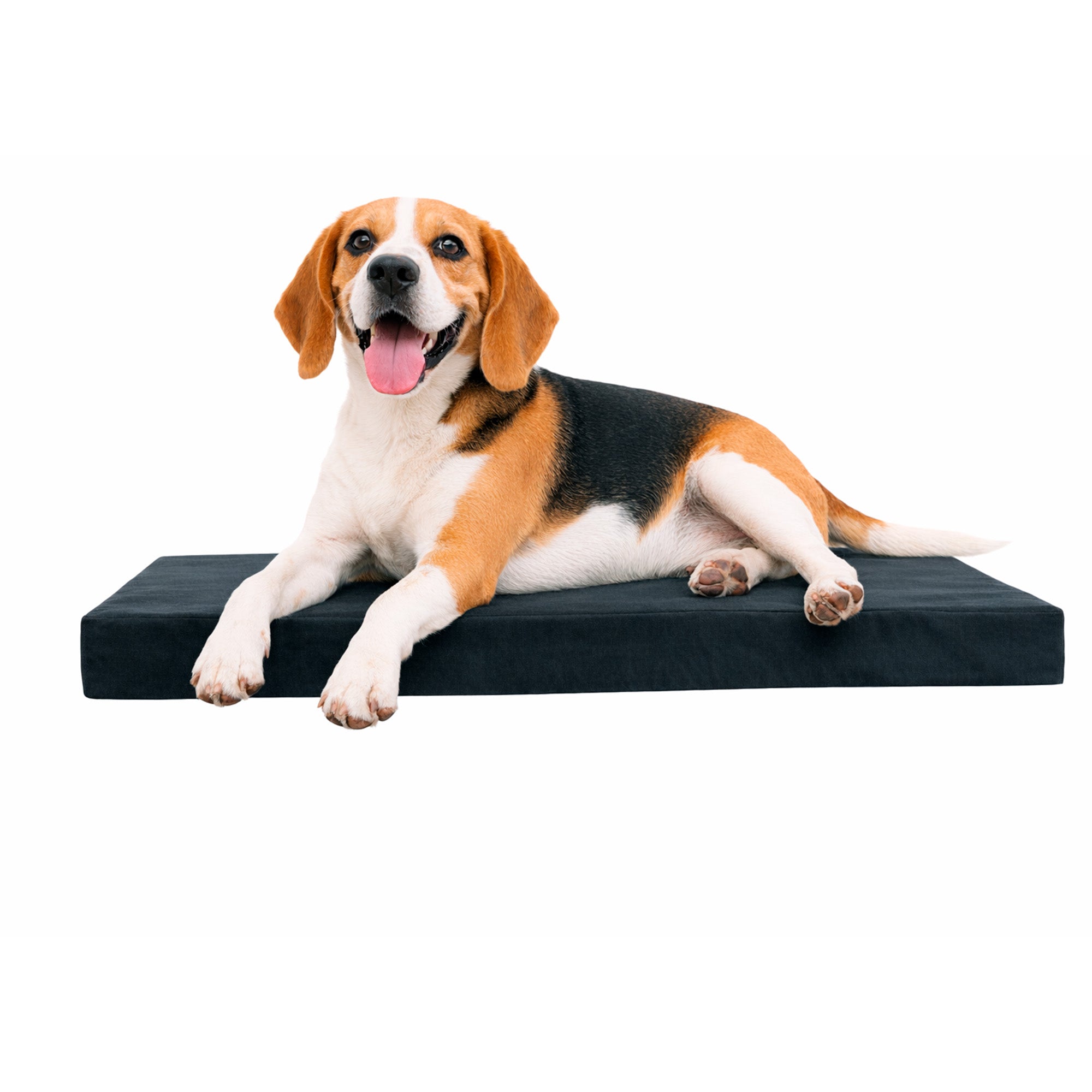 Cama Para Mascota Negro M De Pvc Con Diseño Práctico Y Funcional